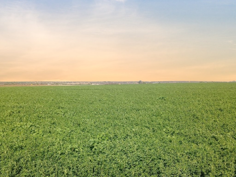 Commercial Property for Sale in Douglas Rural Northern Cape